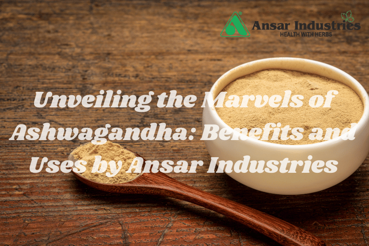 Benefits Of Ashwagandha Powder | Ansar Industries